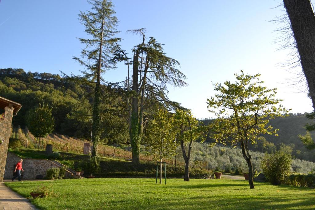 Agriturismo Lapone Orvieto Exterior foto